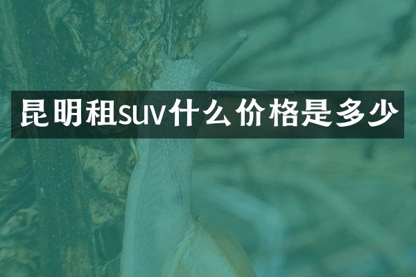 昆明租suv什么价格是多少