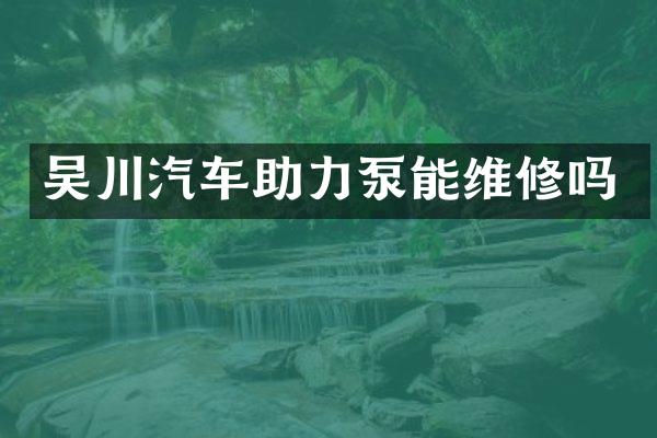吴川汽车助力泵能维修吗