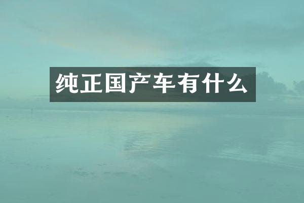 纯正国产车有什么