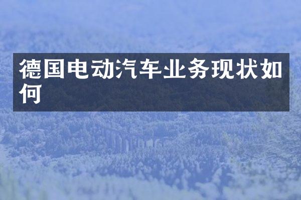 德国电动汽车业务现状如何