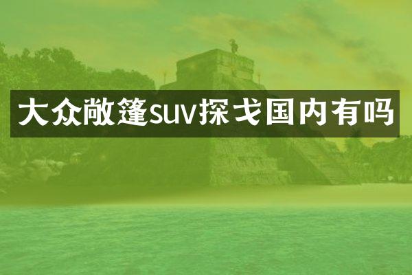 大众敞篷suv探戈国内有吗