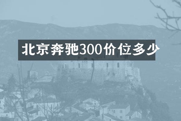 北京奔驰300价位多少