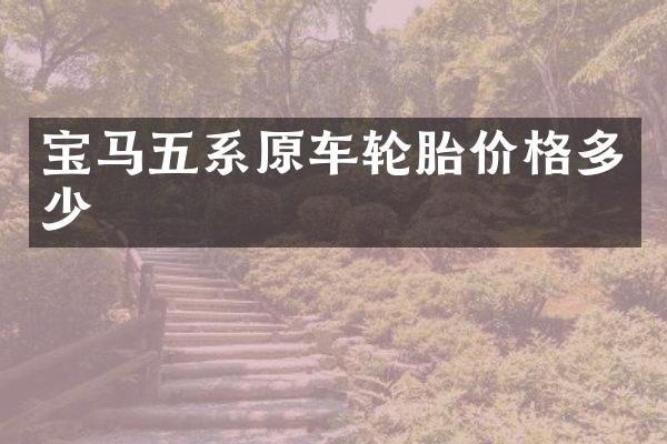 宝马五系原车轮胎价格多少