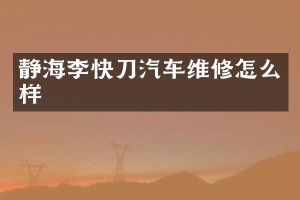 静海李快刀汽车维修怎么样