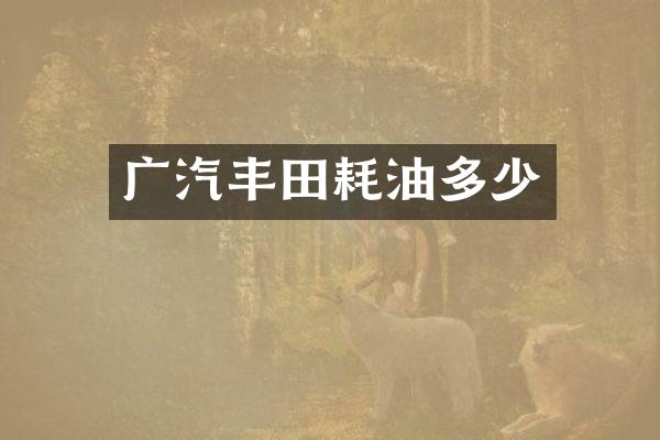 广汽丰田耗油多少
