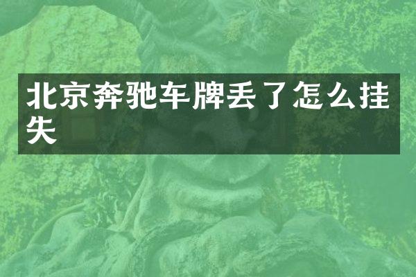 北京奔驰车牌丢了怎么挂失