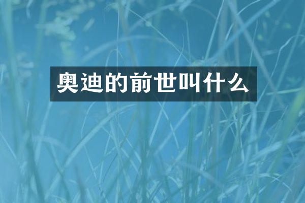 奥迪的前世叫什么