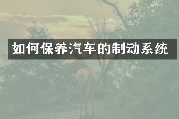 如何保养汽车的制动系统