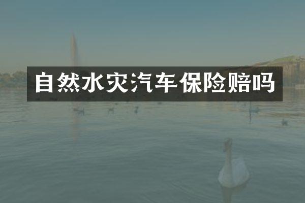 自然水灾汽车保险赔吗