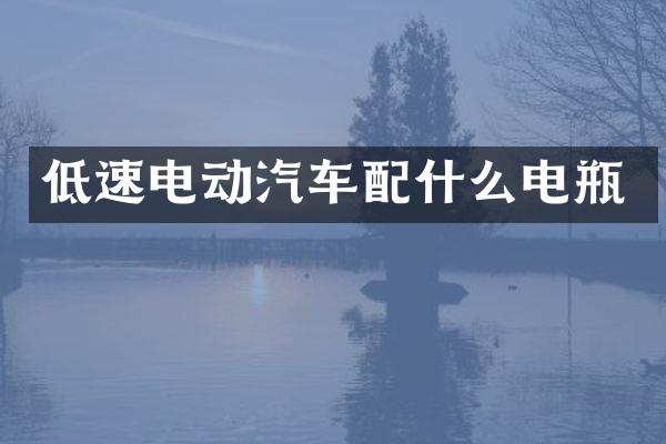 低速电动汽车配什么电瓶