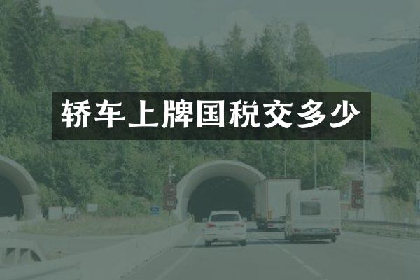 轿车上牌国税交多少