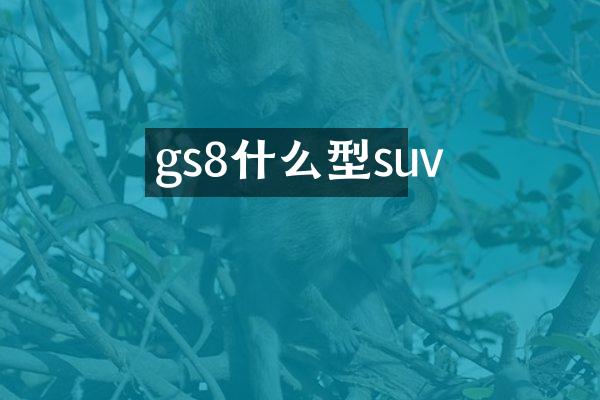 gs8什么型suv