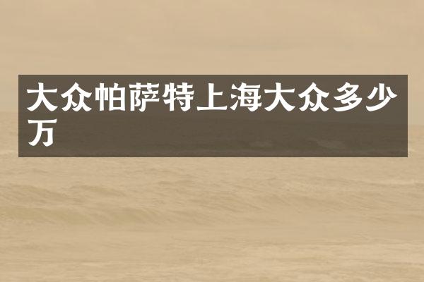 大众帕萨特上海大众多少万