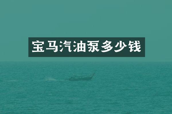 宝马汽油泵多少钱