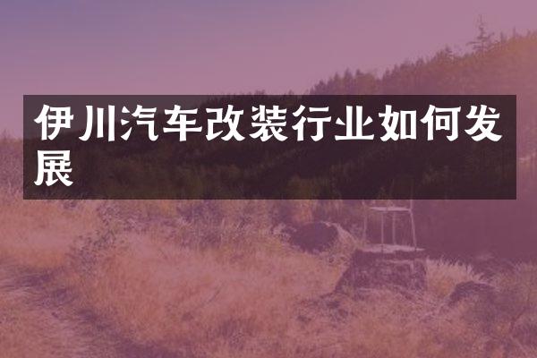 伊川汽车改装行业如何发展