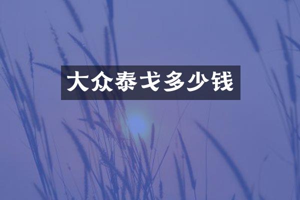 大众泰戈多少钱