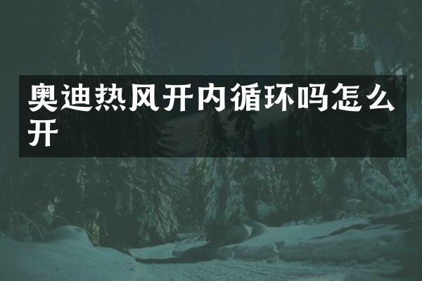 奥迪热风开内循环吗怎么开
