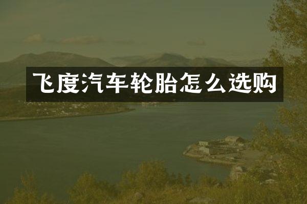 飞度汽车轮胎怎么选购