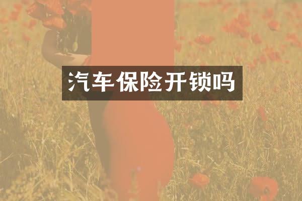 汽车保险开锁吗