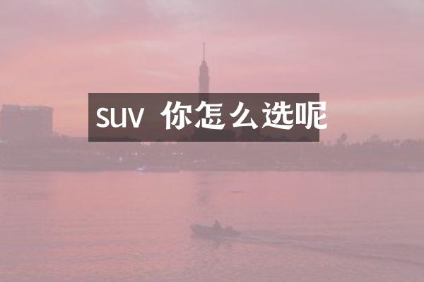 suv 你怎么选呢