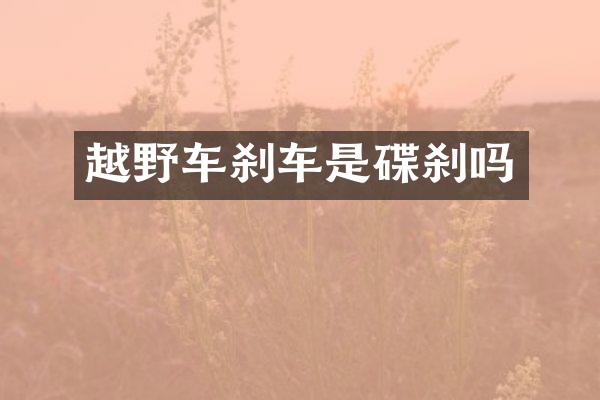 越野车刹车是碟刹吗