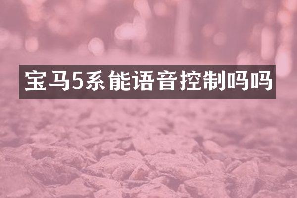 宝马5系能语音控制吗吗