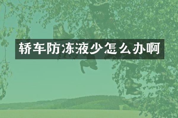 轿车防冻液少怎么办啊