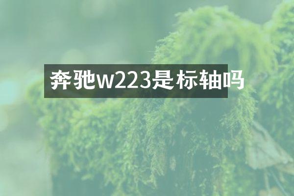 奔驰w223是标轴吗