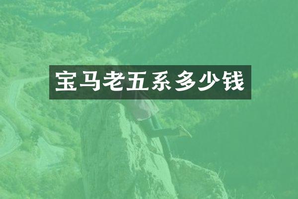 宝马老五系多少钱