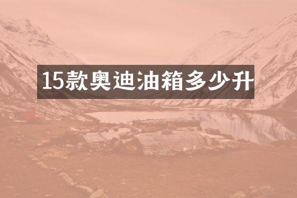 15款奥迪油箱多少升