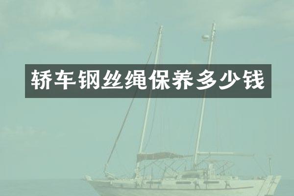 轿车钢丝绳保养多少钱