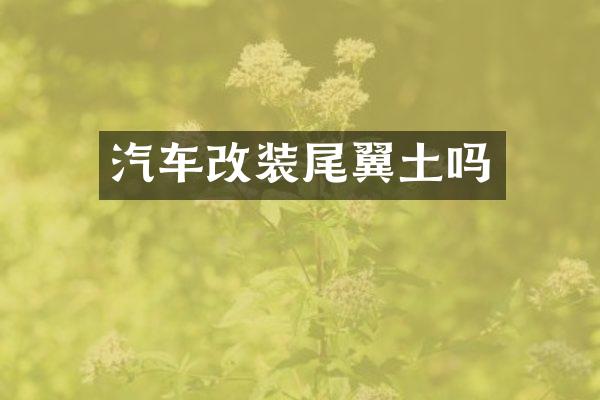 汽车改装尾翼土吗