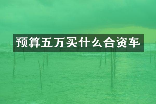 预算五万合资车