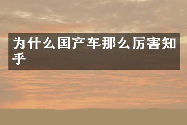 为什么国产车那么厉害知乎