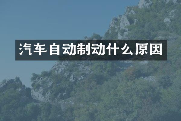 汽车自动制动什么原因