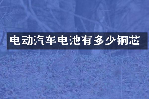 电动汽车电池有多少铜芯