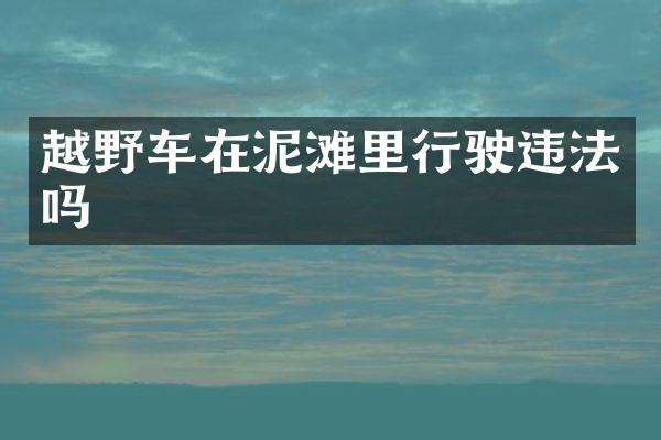 越野车在泥滩里行驶违法吗
