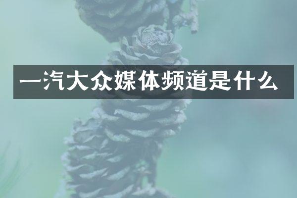 一汽大众媒体频道是什么