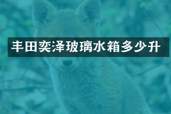 丰田奕泽玻璃水箱多少升