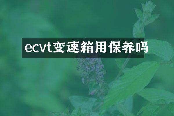 ecvt变速箱用保养吗