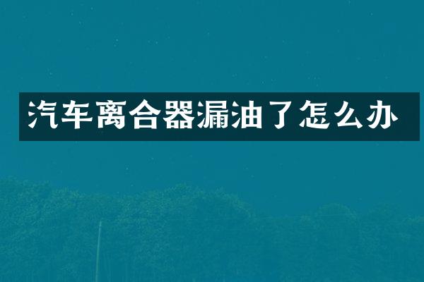 汽车离合器漏油了怎么办