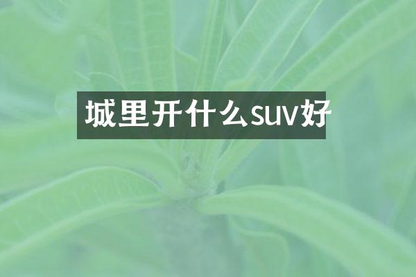 城里开什么suv好