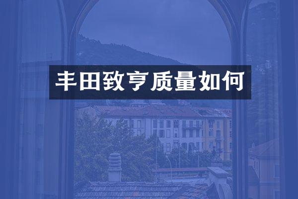 丰田致亨质量如何