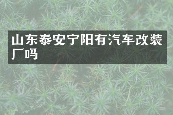 山东泰安宁阳有汽车改装厂吗