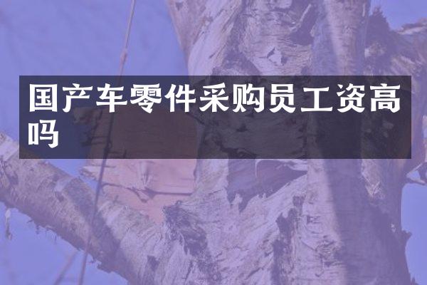 国产车零件采购员工资高吗