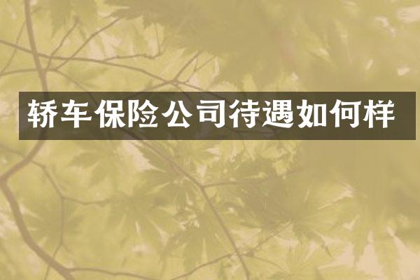 轿车保险公司待遇如何样