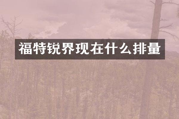 福特锐界现在什么排量