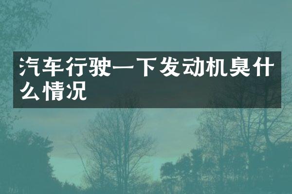 汽车行驶一下发动机臭什么情况