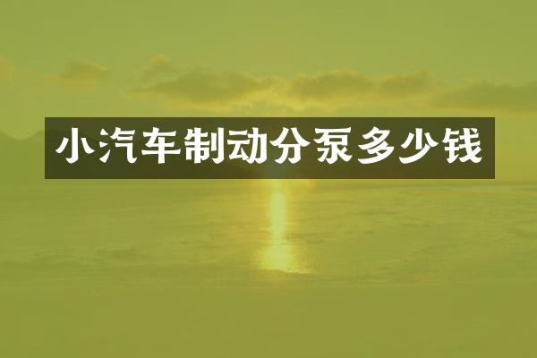 小汽车制动分泵多少钱