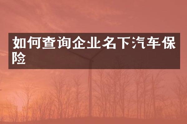 如何查询企业名下汽车保险